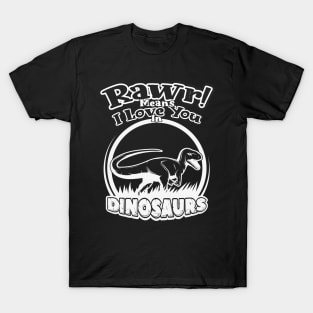 Rawr Means I Love You In Dinosaur, I Love You Design T-Shirt